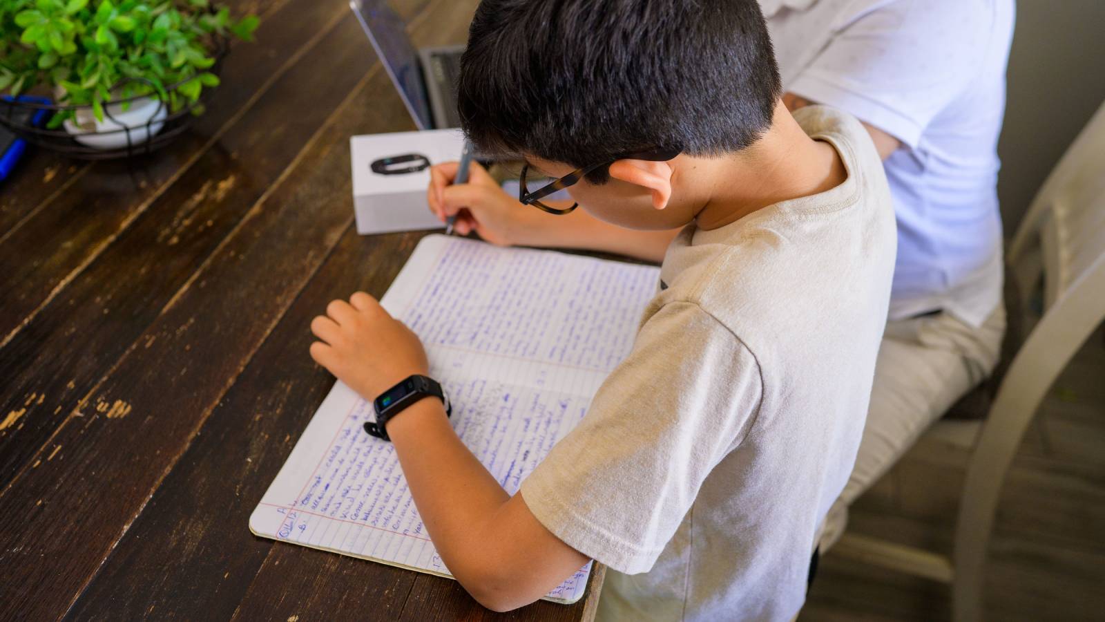 Alpha AH Device in Use